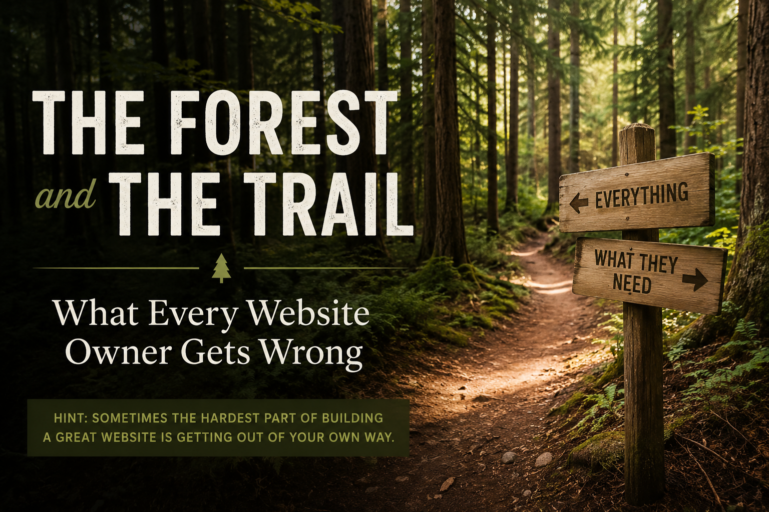 The Forest and the Trail: What Every Website Owner Gets Wrong